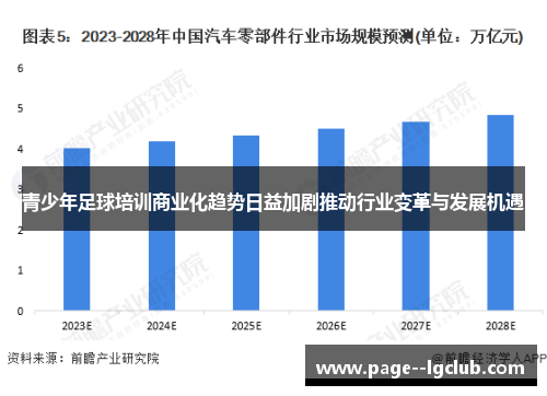 青少年足球培训商业化趋势日益加剧推动行业变革与发展机遇