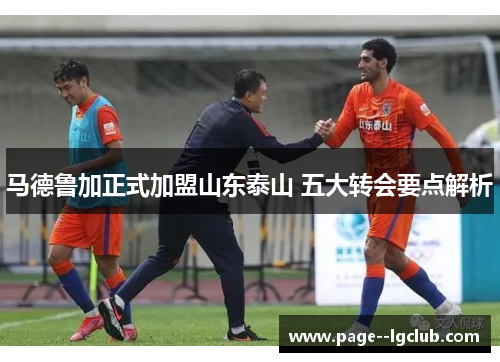马德鲁加正式加盟山东泰山 五大转会要点解析